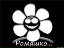 Фотография Сулык Ольги