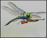 Фотография Старчикова Катерина