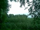 Віка Масюк фотография #12 (источник - https://vk.com/id82453171)