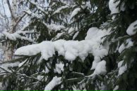 Фотография Иванова Руслана