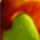 Елена Дмитриева фотография #8 (источник - https://vk.com/id485380)