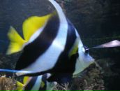 Таня Сухіна фотография #7 (источник - https://vk.com/id70153948)