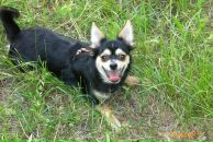 Разбитое Сердце фотография #43 (источник - https://vk.com/id611602)