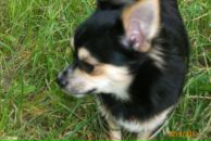 Разбитое Сердце фотография #39 (источник - https://vk.com/id611602)