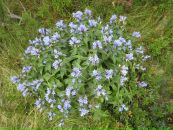 Вікторія Нова фотография #26 (источник - https://vk.com/id132038357)