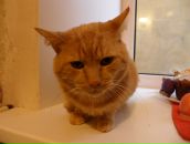 Фотография Покатович Татьяны