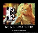 Юрій Мизинюк фотография #40 (источник - https://vk.com/id113533787)
