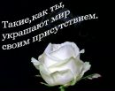Надєжда Олійник фотография #40 (источник - https://vk.com/id141631782)
