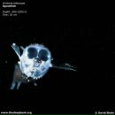 Фотография Татаренко Вадим