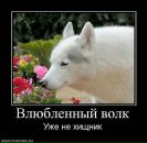 Сергій Притула фотография #4 (источник - https://vk.com/id105081679)