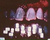 Stew Boy фотография #48 (источник - https://vk.com/id657597)