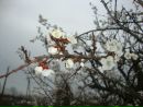 Фотография Ипатовой Виктории