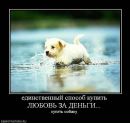 Юлія Фурія фотография #32 (источник - https://vk.com/id5070335)
