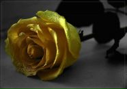 Фотография Егорова Сергея