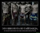 Роман Яців фотография #41 (источник - https://vk.com/id183069967)