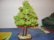 Іра Сидорчук фотография #5 (источник - https://vk.com/id62536432)