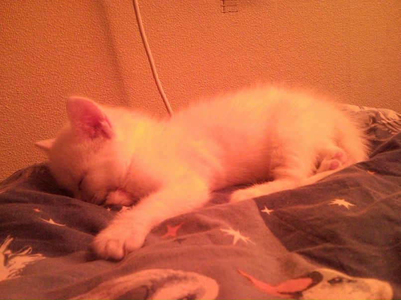 Александр Улыбин фотография #21