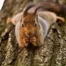 Фотография Лучиной Юлии