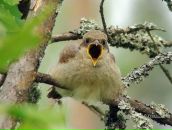 Фотография Александровой Татьяны