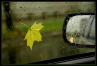 Фотография Григорьевой Анастасии