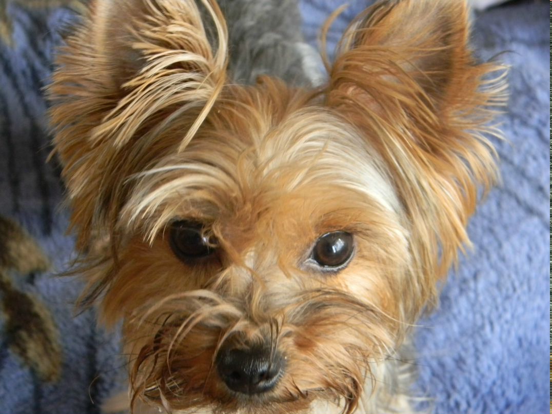 Вован Sid фотография #29