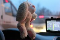 Фотография Краевой Людмилы