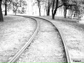 Фотография Тихомировой Лины