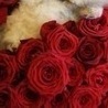 Анастасія Ковалевська фотография #2 (источник - https://vk.com/id152440076)