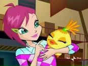 Brigitta Winx♥ фотография #11 (источник - https://vk.com/id120390405)
