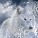 Олеся Даниленко фотография #23 (источник - https://vk.com/id37739855)