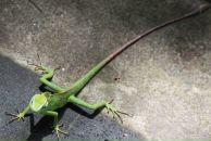 Катя Мищенко фотография #44 (источник - https://vk.com/id19178)