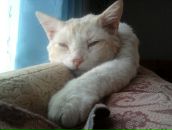 Фотография Самойловой Евгении