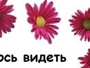 Світланка Благун фотография #25 (источник - https://vk.com/id138671124)