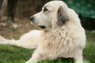 Slash Dot фотография #37 (источник - https://vk.com/id614985)