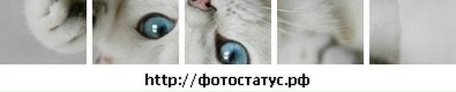 Інна Карча фотография #50 (источник - https://vk.com/id75144847)