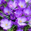 Фотография Дмитриевой Любови