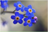 Фотография Парамоновой Ирины