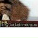 Лєна Ляшкевич фотография #29 (источник - https://vk.com/id57337092)