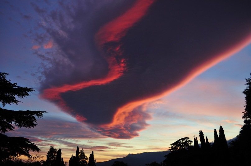 Слава Гриценко фотография #28