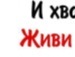 Валік Майко фотография #30 (источник - https://vk.com/id139434379)