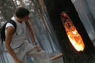 Фотография Miroshkin Vladimir