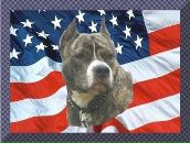 Мурад Вердиев фотография #8 (источник - https://vk.com/id946167)