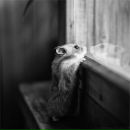 Фотография Захарян Самвел