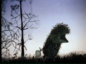 Фотография Соловьёвой Алёны