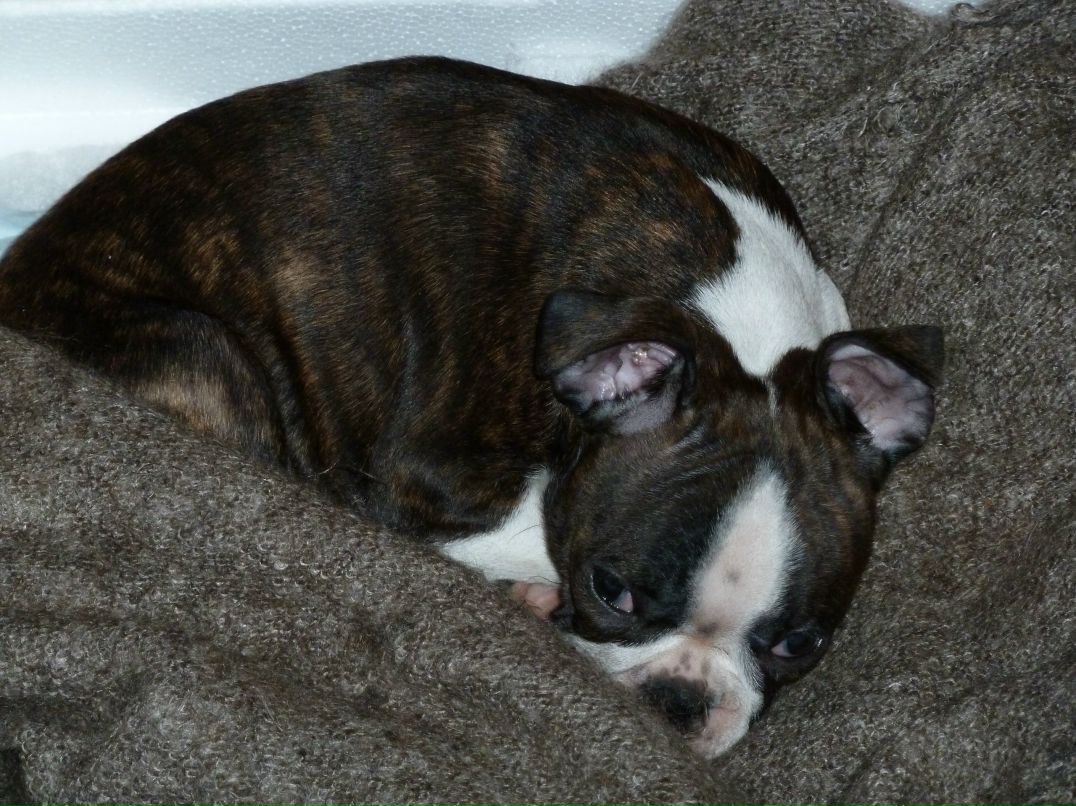 Дмитрий Павличенко фотография #34