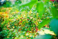 Anton Petroff фотография #35 (источник - https://vk.com/id1179318)