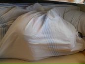 Сергей Палкин фотография #35 (источник - https://vk.com/id13268317)