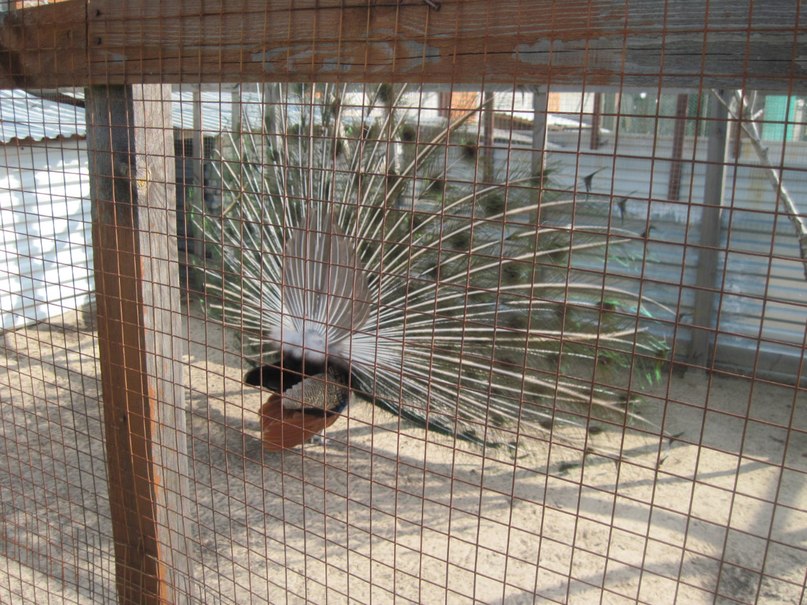 Наталья Гринёва фотография #38