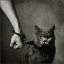 Фотография Белоусова Романа