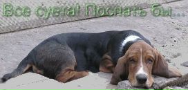 Наталія Гур'янова фотография #21 (источник - https://vk.com/id30916353)